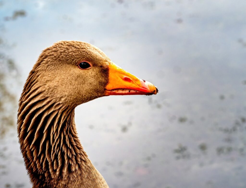 婚活成功のためのプロフィールの書き方は？