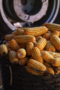 婚活成功のための地方在住者向け対策は？