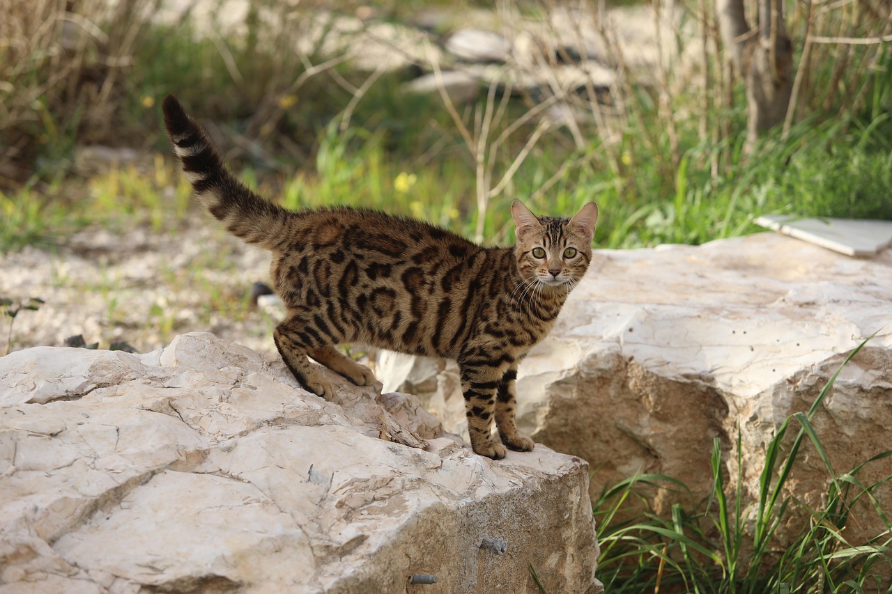 婚活で失敗しないためのコツは？