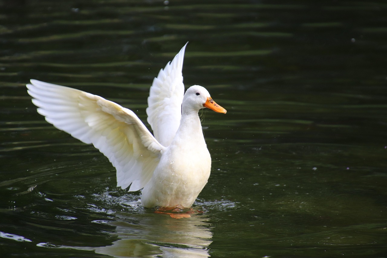 婚活における男性の清潔感チェックポイントは？