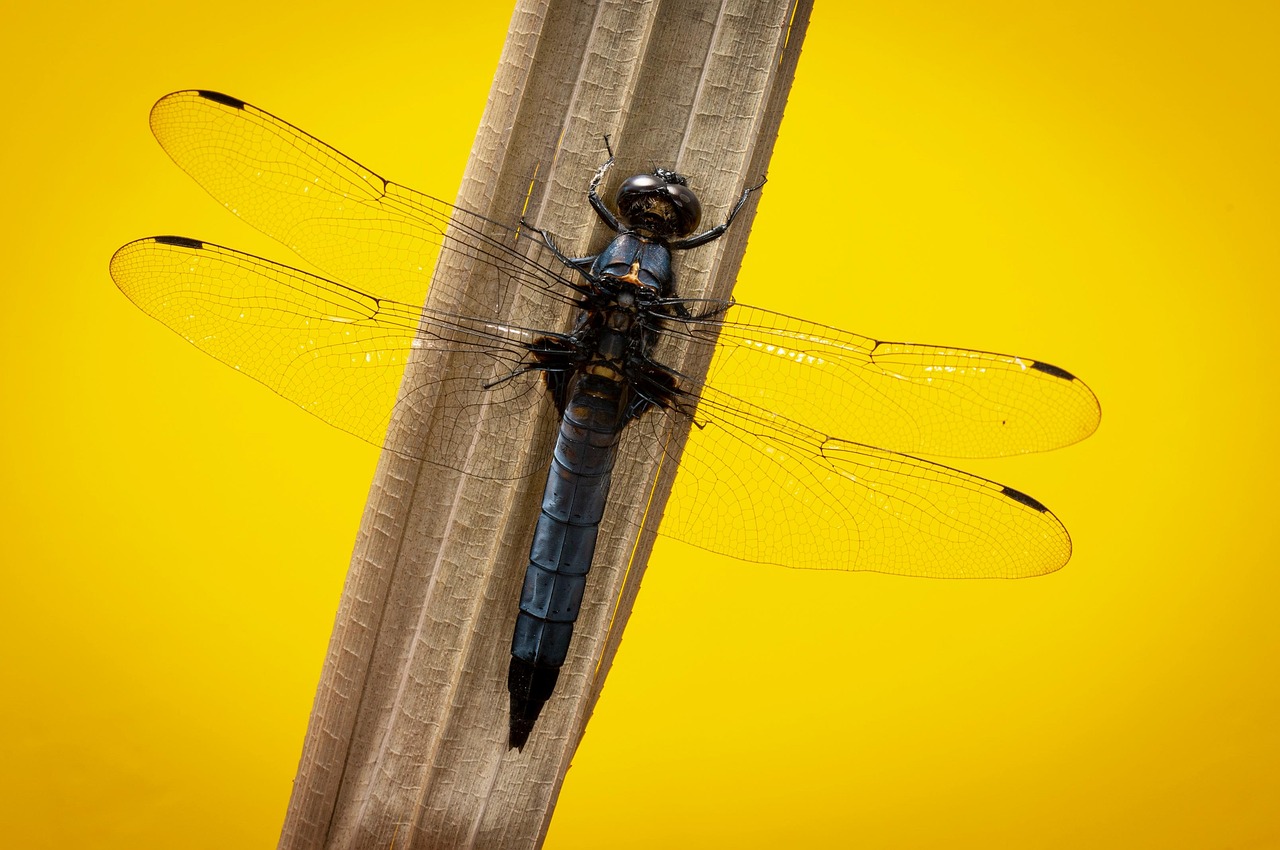 婚活女性が初デートで気を付けるべき注意点は？