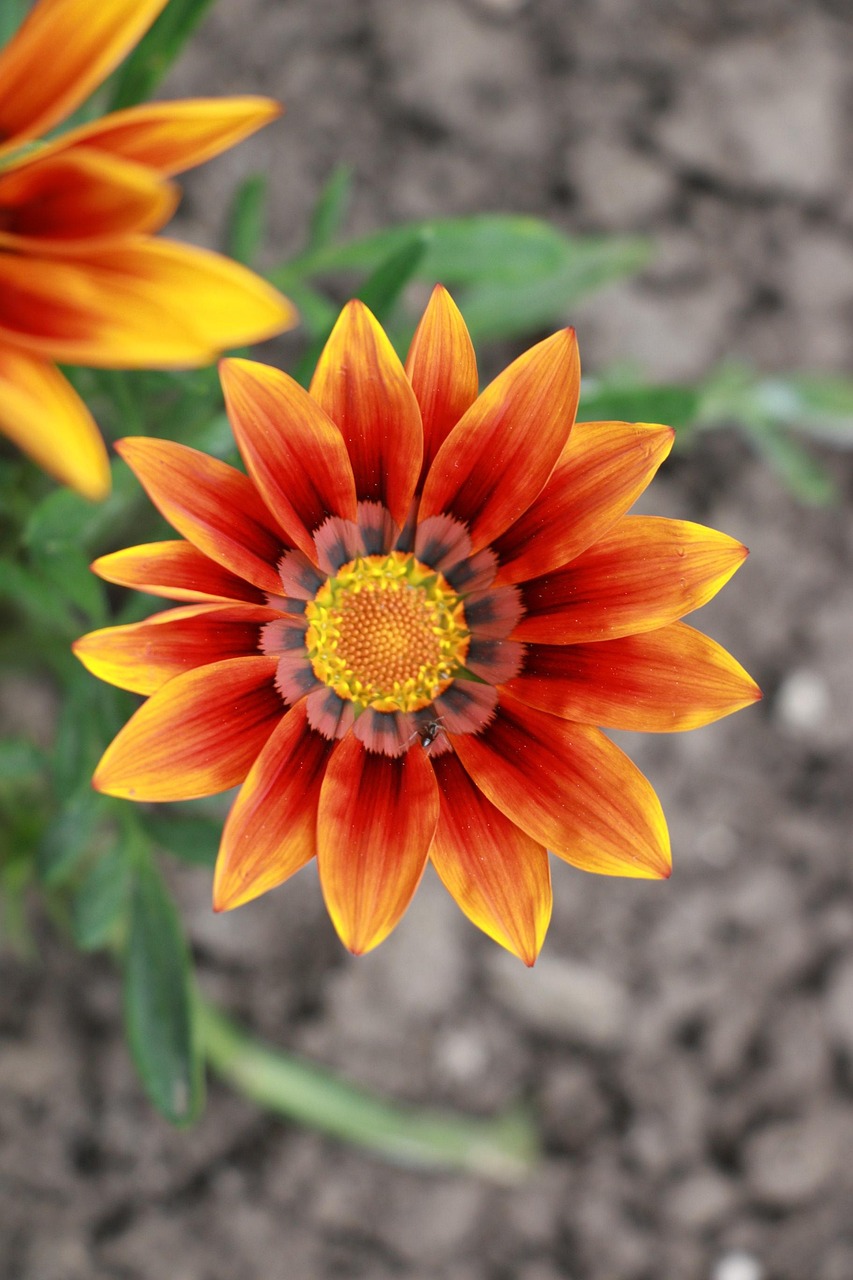 婚活から成婚までの期間はどのくらい？