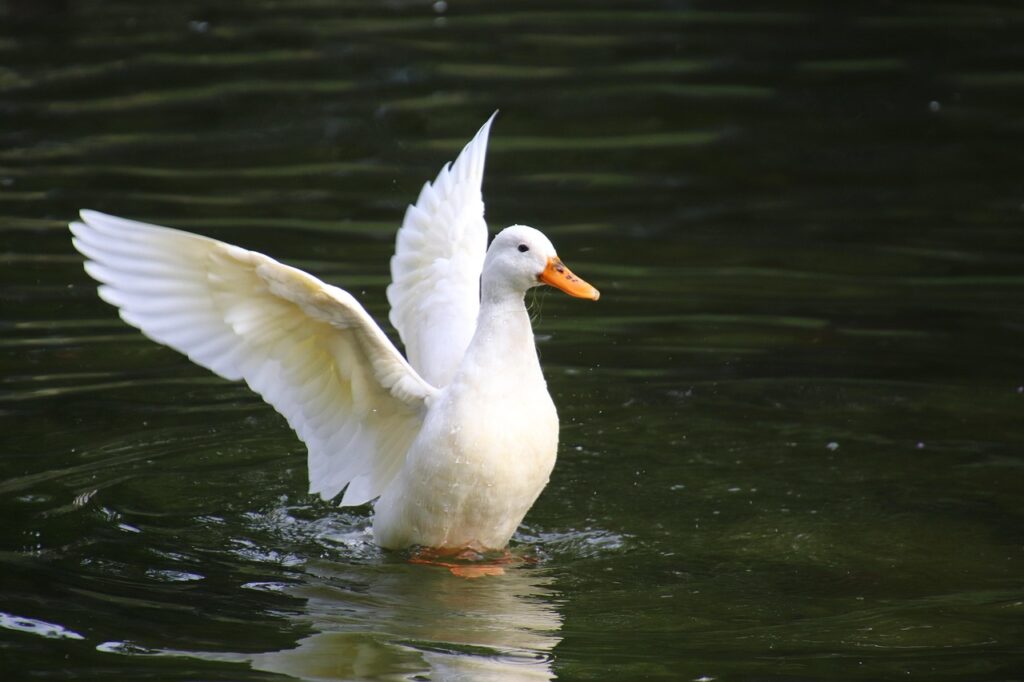 婚活で清潔感を保つための成功の秘訣は？