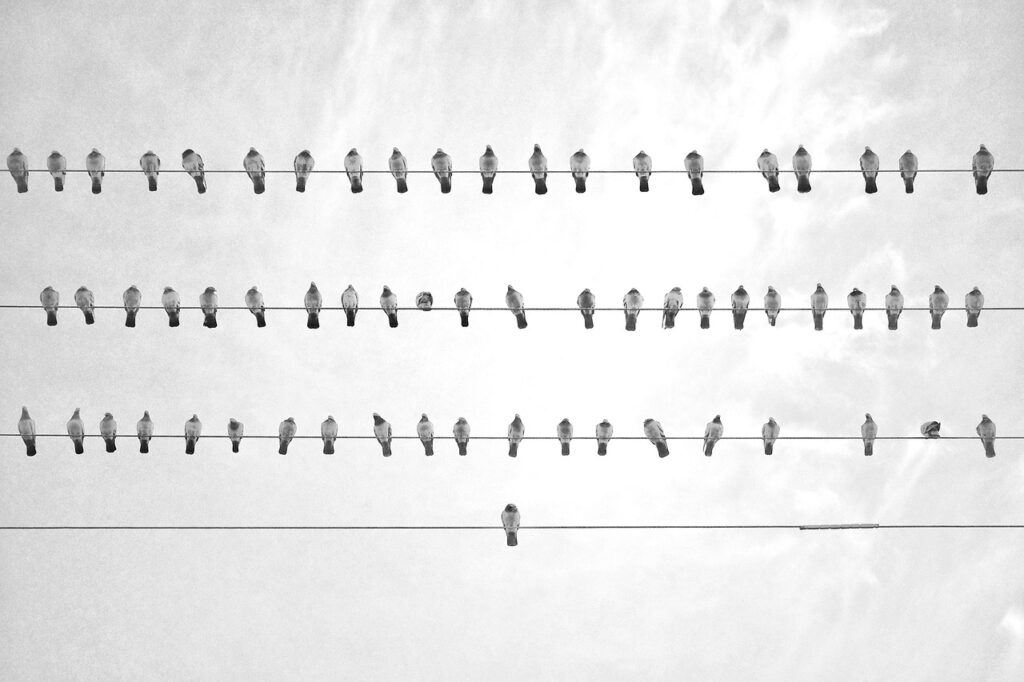 婚活で初対面の相手に良い印象を与える方法は？