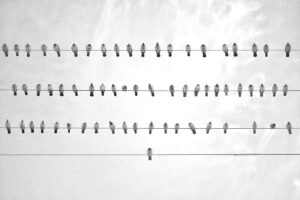 婚活で初対面の相手に良い印象を与える方法は？