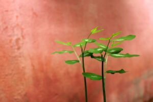 婚活におけるメンタルを強化する方法とは？