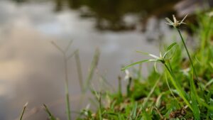 婚活に役立つ自己PRの具体的な例文は？