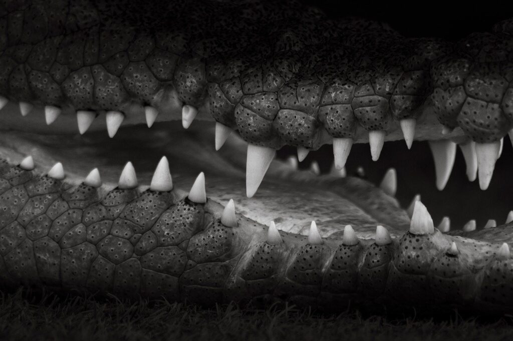 婚活アプリの危険性を回避する方法は？