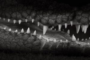 婚活アプリの危険性を回避する方法は？