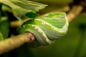 婚活の口コミは信用できるか？